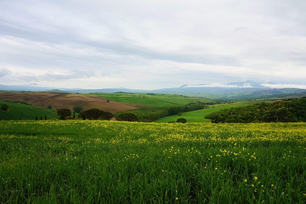 Toskania, Val D'Orcia