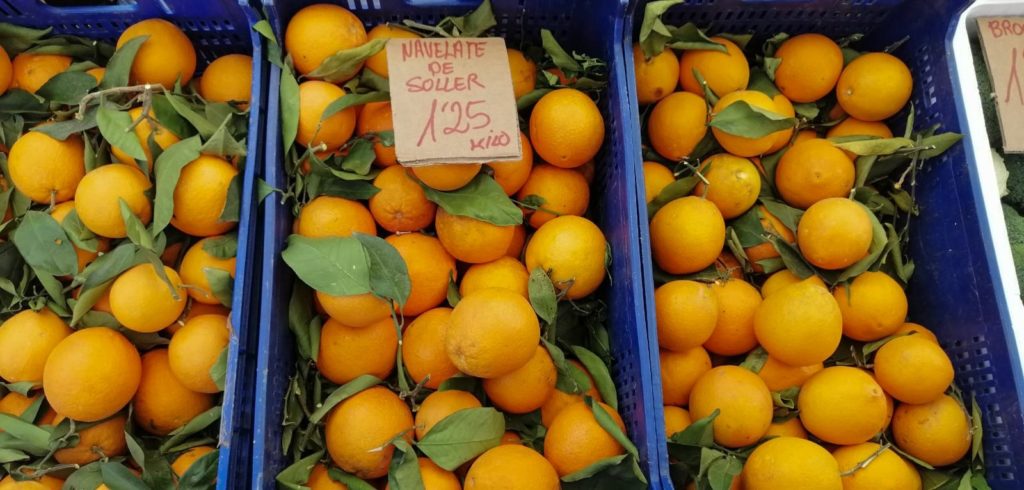 Pomarańcze z Soller
